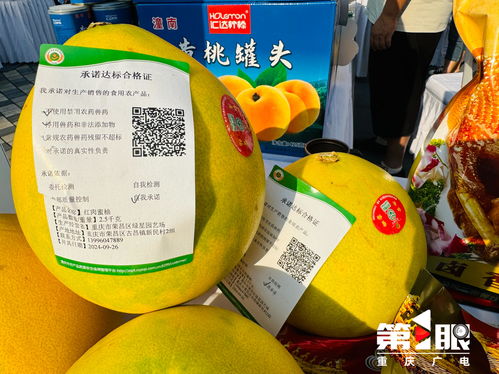 更好守護 舌尖上的安全 重慶市開展食用農(nóng)產(chǎn)品承諾達標(biāo)合格證宣傳活動