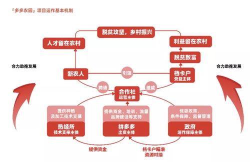 拼多多發(fā)布農產品上行發(fā)展報告, 電商助農,大有可為