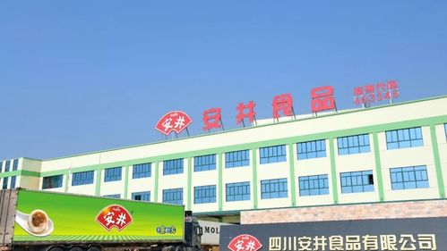 小酒館第一股和 精致窮 的年輕人們